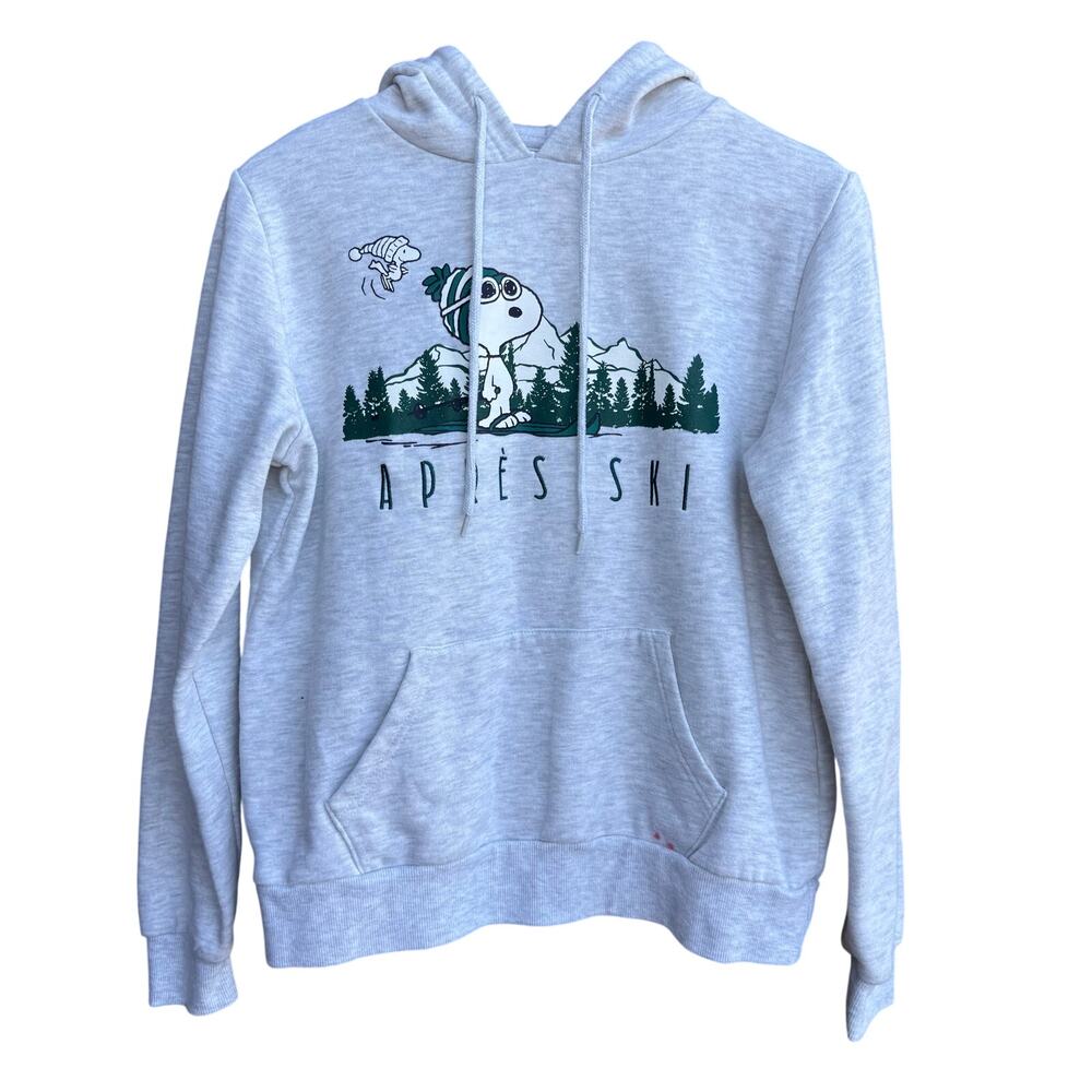 Peanuts Snoopy Apres Ski Graphic Hoodie Sweatshirt Gray Green Unisex Small